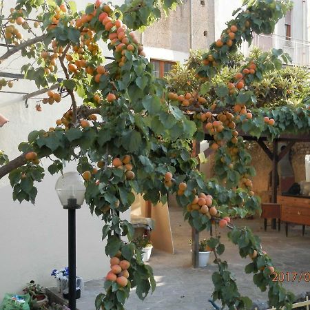 B&B Palazzo L'Occaso Castrovillari Zewnętrze zdjęcie